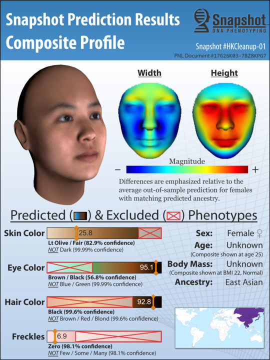 Sample Snapshot Composite